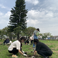 營造微森林 後岸植群植樹活動