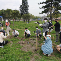 營造微森林 後岸植群植樹活動