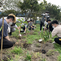 營造微森林 後岸植群植樹活動